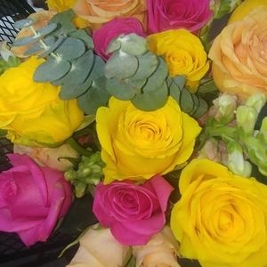 Meet your Posher, Kim